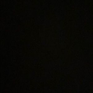 Meet your Posher, Allie